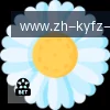 开云体育 logo
