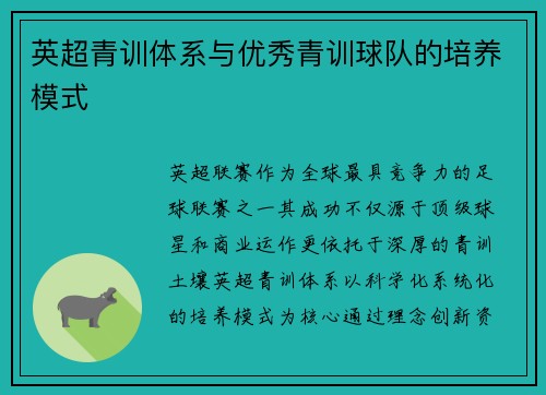 英超青训体系与优秀青训球队的培养模式