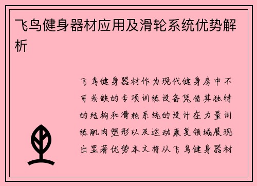 飞鸟健身器材应用及滑轮系统优势解析