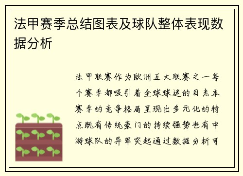 法甲赛季总结图表及球队整体表现数据分析